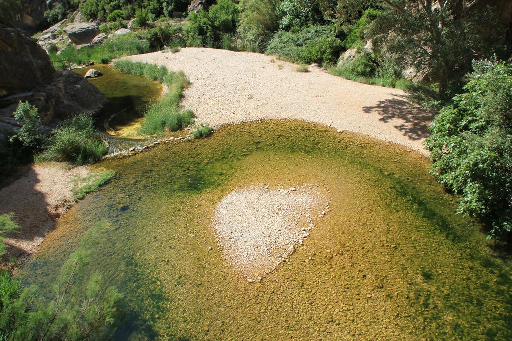 Ca La Leonor, Ecoturisme Terra Alta Villa Bot Oda fotoğraf