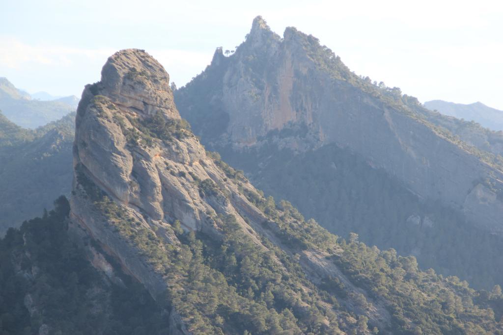 Ca La Leonor, Ecoturisme Terra Alta Villa Bot Oda fotoğraf
