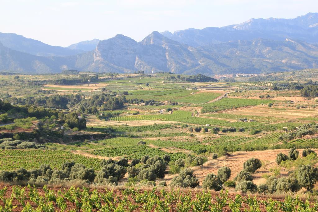 Ca La Leonor, Ecoturisme Terra Alta Villa Bot Oda fotoğraf